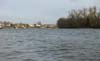 view towards Chiswick eyot